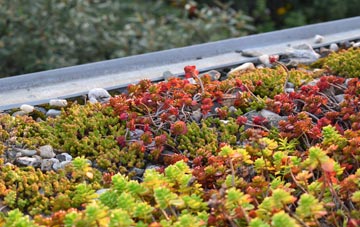 the cost of Santon green roof installation