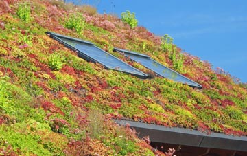Santon living roof systems
