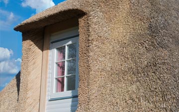 Santon thatch roof disadvantages